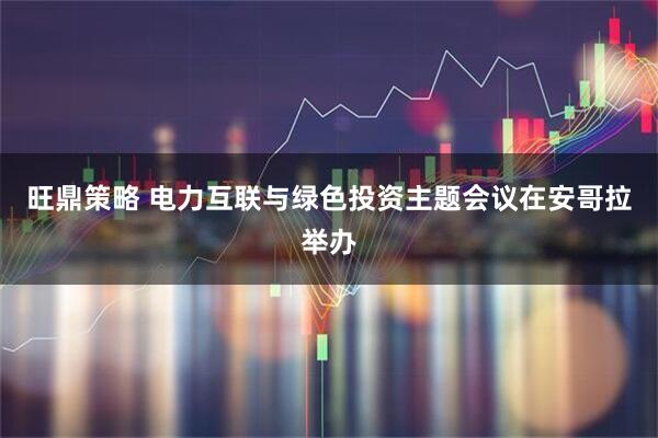 旺鼎策略 电力互联与绿色投资主题会议在安哥拉举办