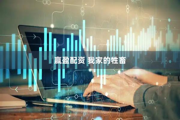 赢盈配资 我家的牲畜
